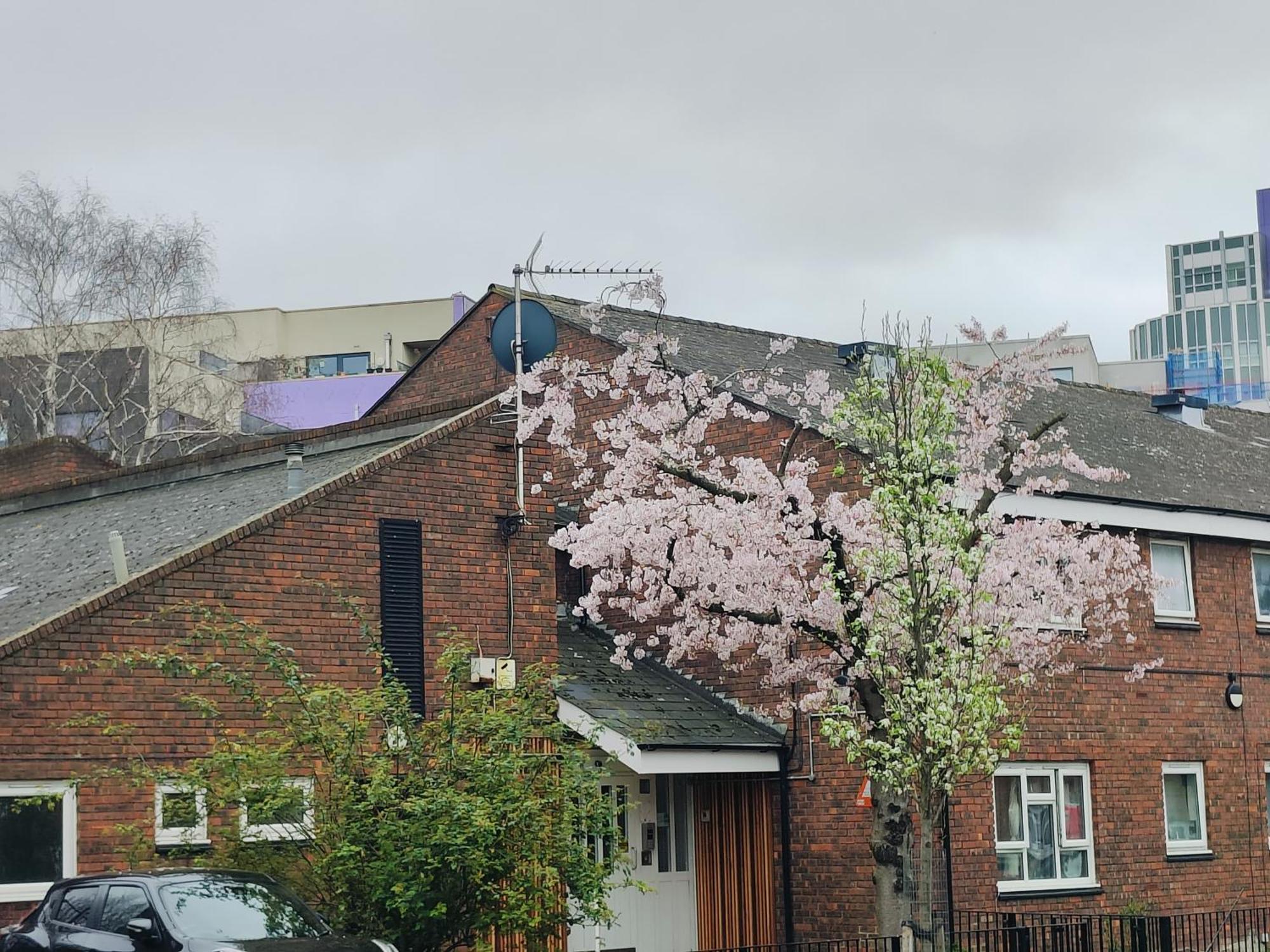 Clifton House O2 & Excel Rooms With Private Bathroom And Breakfast Option Londres Exterior foto
